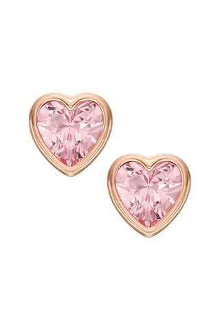 Fossil Joa00840-791 Kalpli Kadın Küpe