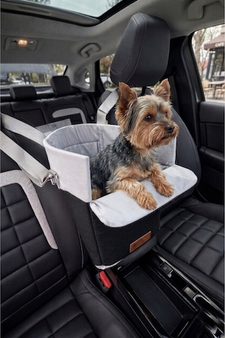 Reyo Max Design Kedi Köpek Taşıma Çantası Siyah Seyahat İçin Hafif Ve Hava Alabilen Evcil Hayvan Çantası