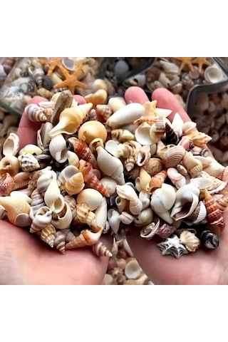 Willowhaven 120g Renkli Mini Reçin El Yapımı Deniz Kabuğu Kum Mix Akvaryum Dekor Dıy Tırnak Sanatı