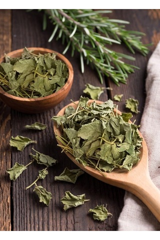 Testere Dişli Aslan Pençesi 75g, Doğal Ve Katkısız