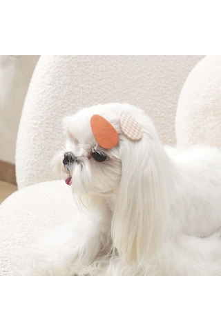 M-pets Glam Desenli Kedi Ve Köpekler İçin Aksesuar Toka Turuncu Turuncu