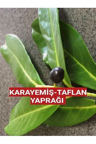 250 Gram Karayemiş-taflan-laz Kirazı Yaprağı Günlük Dalından Top