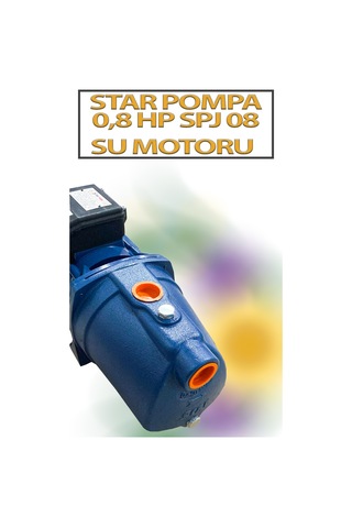 0,6 Kw 0,8 Hp 2900 D/d 3,6 A. Su Motoru 220 V/50 Hz Termistör Korumalı Pompa