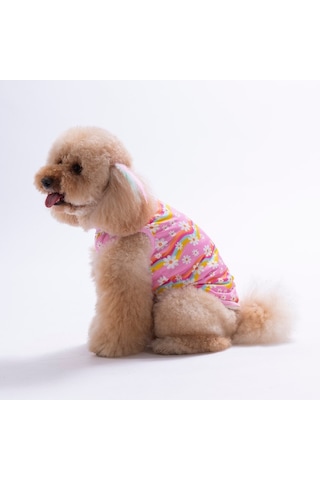 Daisy Tişört Kedi Köpek Tişörtü-kedi Köpek Kıyafeti