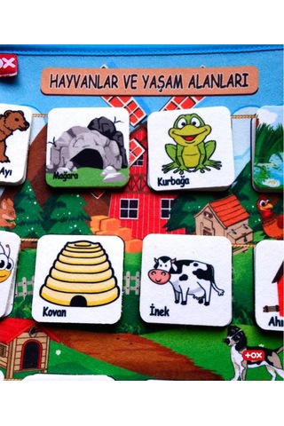 Tox Hayvanlar ve Yaşam Alanları Keçe Cırtlı Aktivite Sayfası