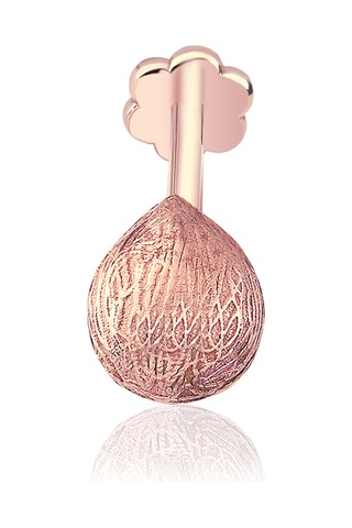 Coco Major Tragus