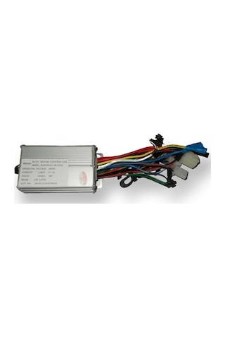 Asya Asbıs 250w Hız Kontrol Cıhazı Asbıs250 F0101