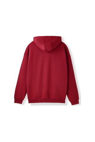 Gsstore Galatasaray Erkek Yarım Zip Hoodie E252107 Bordo