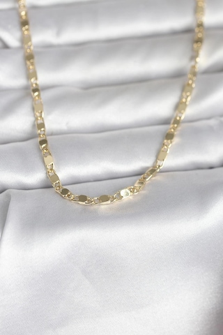 Ceylan Adam Cm 14k Gold Renk Arpa Model 45 Cm Kadın Kolye Çok Renkli