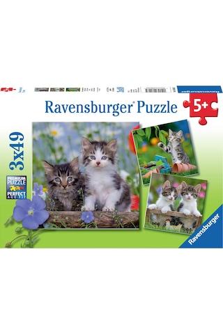 Ravensburger Puzzle 3x49 Parça Tiger Babies 80465