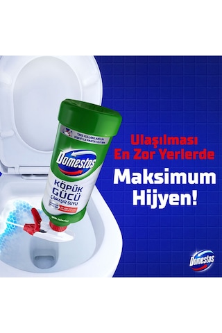 Domestos Köpük Gücü Çam Ferahlığı 450 Ml X1 Ve Köpük Gücü Kar Beyaz 450 Ml X1 2'li Set