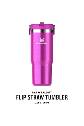 Stanley Iceflow Flip Straw Tumbler Pipetli Termos Bardak Çok Renkli