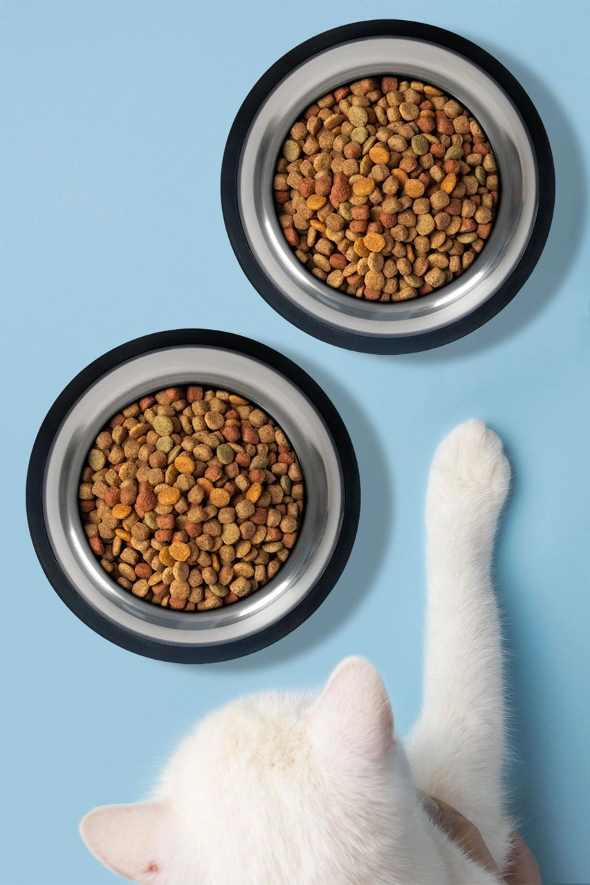 2 Adet Kedi Köpek Mama Ve Su Kabı Çelik Kase 300 Ml