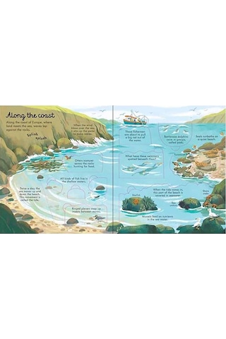 The Usborne Look Inside Seas And Oceans 5+ Yaş