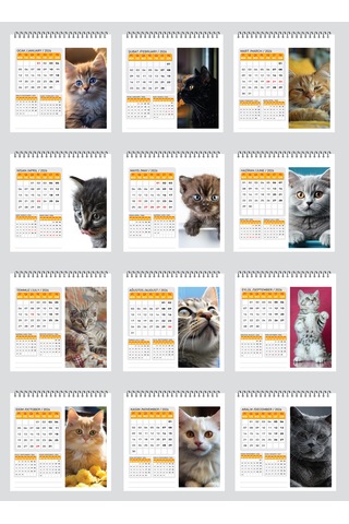 2026 Yeni Kedi Masa Takvimi-16x15 Cm