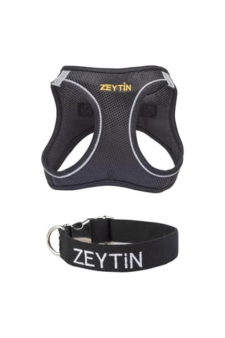 Kişiye Özel İsimli Air Mesh Göğüs Tasması Ve İsimli Köpek Tasması I 2'li Set I Küçük Ve Orta Irk Köpekler