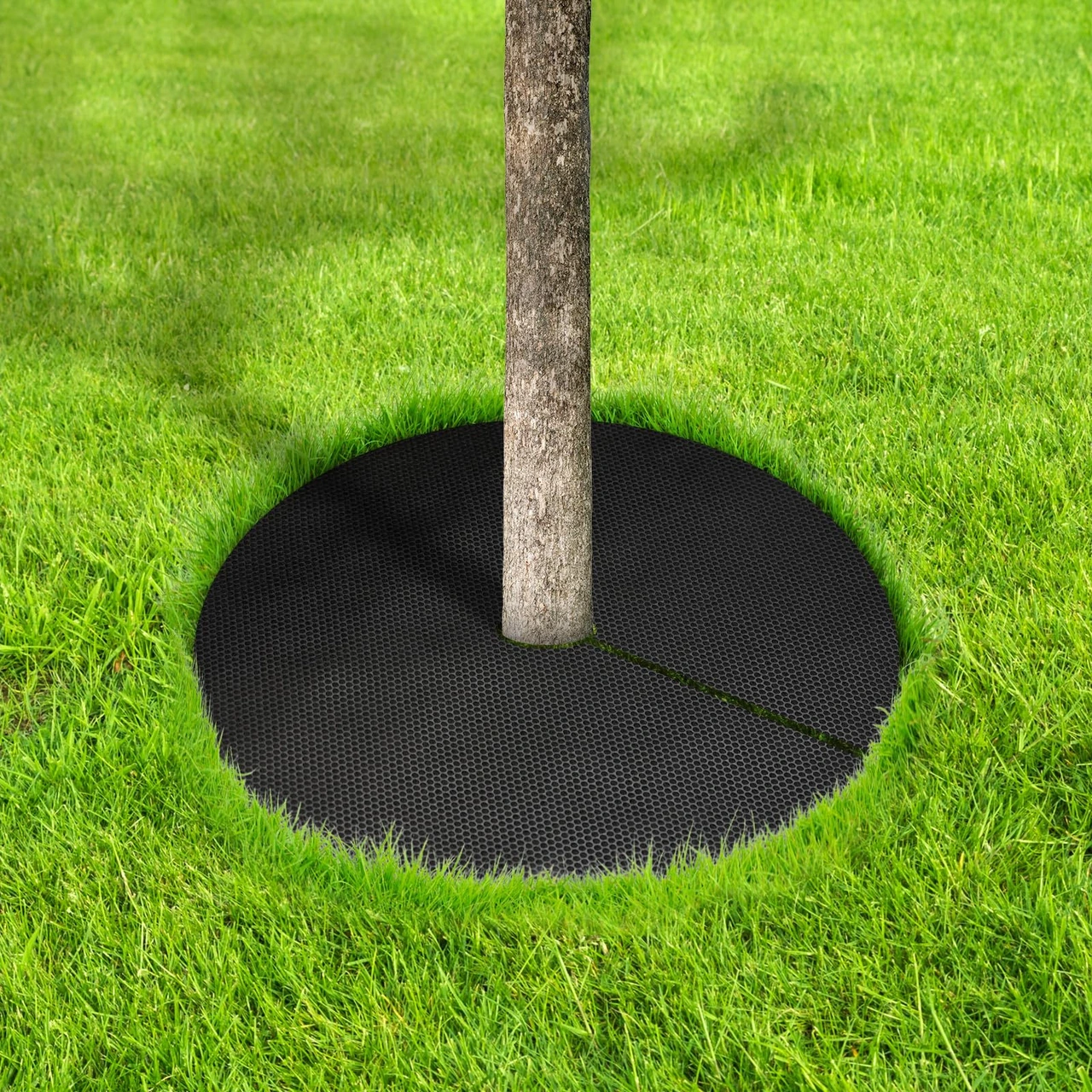 Yuntech01 12 Adet 52cm Çaplı Ağac Korumalı Döşeme, Dikdörtgen Örgü, Bitki Kökünü Koruma, Ot Kontrol, Ev Bahçesi, Saksı Bitkileri İçin