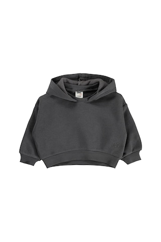 Civil Baby Çiçek Nakışlı Basic Kapşonlu 6-18 Ay Sweatshirt - Gri Koyu Gri