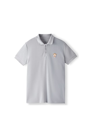 Gsstore Galatasaray Erkek Polo T-shirt E252103 Gri