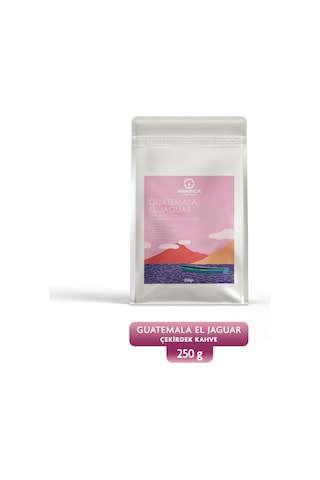 Guatemala El Jaguar 250g Çekirdek Kahve Taze Kavrulmuş Çekirdek