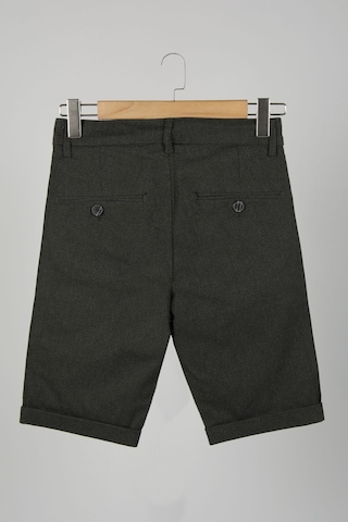 Terapi Men Erkek Haki Slim Fit Keten Şort Haki