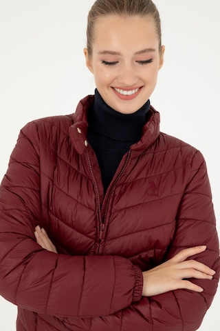 U.s. Polo Assn. Kadın Bordo Mont 50292657-vr014 Bordo