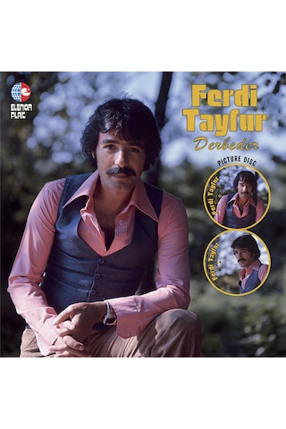 Ferdi Tayfur - Derbeder Picture Plak