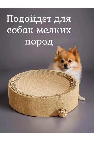 Vektorı Kedi İçin Tırmalama Yatağı 466551049