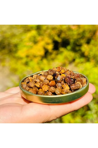 Hüdaverdi Perga Arı Ekmeği 100 G