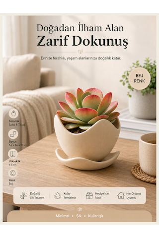 Dekoratif Kaseli Saksı-bitki,çiçek,sukulent Ve Kaktüs Saksısı-modern Tarz Saksı Bej