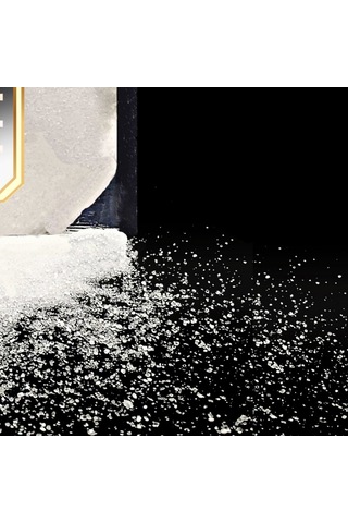 Hanzade Bitkisel Limon Tuzu Toz 1 KG