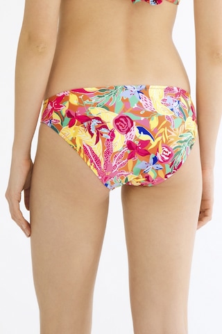 Penti Çok Renkli Flory Slip Bikini Altı