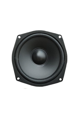13 Cm Çıplak Hoparlör 4.5" - Pw-13.1