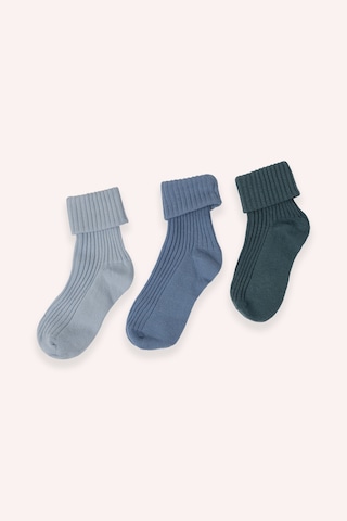 Panço Unisex Bebek 3'lü Kutulu Çorap renkli