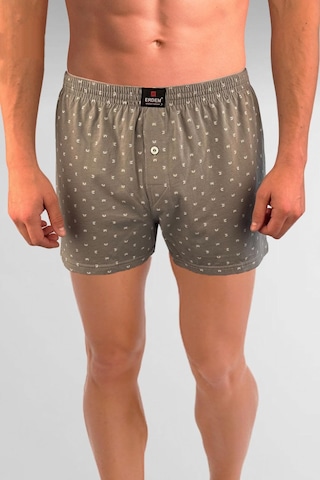 Erdem Gri Baskılı Desenli Penye Boxer 1400yınk Gri