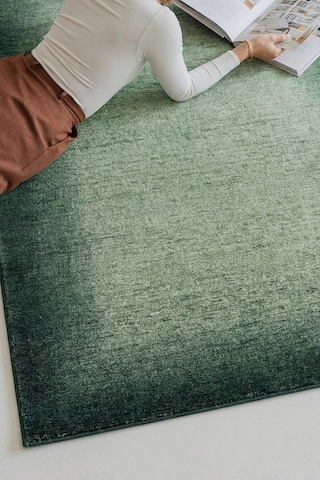 Hoom Rugs Etro 2707 Yeşil Çerçeveli Vintage Desenli Salon Halısı