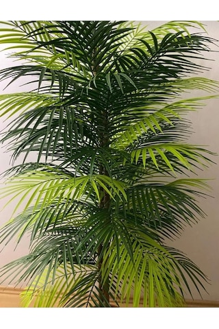 Rüzgar Yapay Çiçekçilik 150 Cm Palmiye Ağacı Yeşil