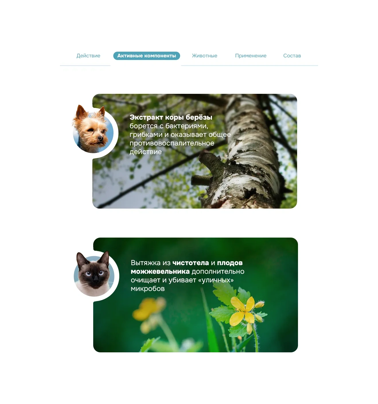 Levrana Köpek Ve Kediler İçin Tırmalama Sonrası Banyo Köpüğü, 150 Ml 11960342