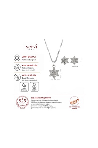 Servi 925 Ayar Gümüş Zirkon Taşlı Kar Tanesi Kolye Ve Küpe Seti-389