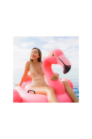Tutmaclı Ada Temalı Renkli Flamingo Biniç Seti