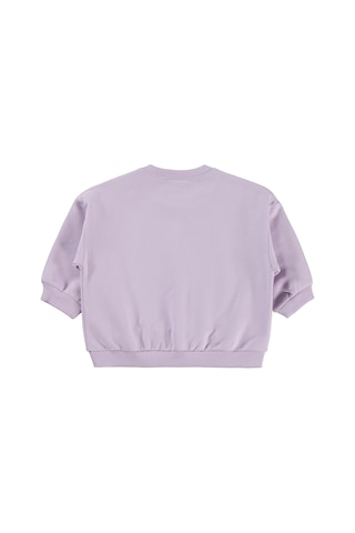 Civil Baby Civil Basic Kalp Etiketli 6-18 Ay Sweatshirt - Lila
