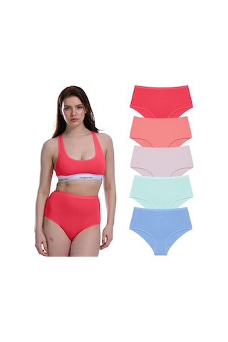 Likralı 5'li Kutu Premium Günlük Kullanıma Uygun Yüksek Bel Külot Berry G-007 D Resimdeki Renk