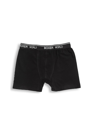 Orbis 3'lü Erkek Likralı Boxer 14100-B3