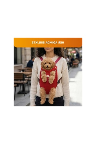 3.1 Phillip Lim Kedi Ve Küçük Irk Köpek Taşıma Çantası, Rahat Kullanım 0233 Orangeblue Cat