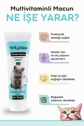 Vitpaw Kitten & Mom Paste