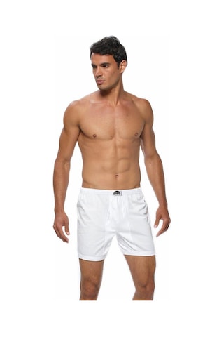 Gümüş Erkek Arjantin Boxer 3007 - 6 Adet
