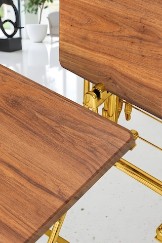 Eranş Serisi 4'lü Katlanır Mdf Mebran Ahşap Çanta Zigon Sehpa Gold Ayak Ceviz Gold Ayak