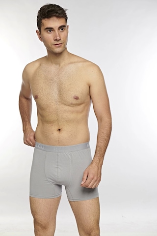 Kolcu Erkek Likralı Boxer K1340-gri Gri