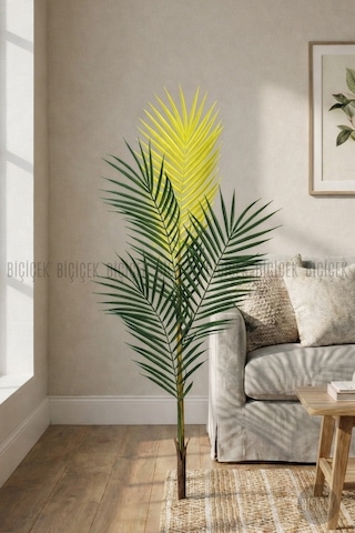 Biçiçek Yedek Areka Dalı 90cm 4 Yaprak Ve 1kg Dekorati̇f Taş