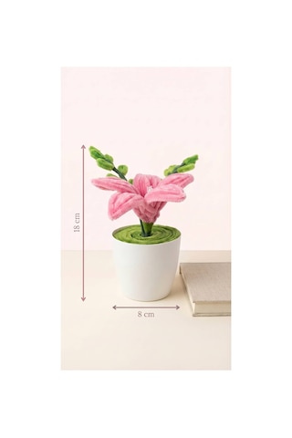 Şönil Pembe Lilyum Mini Saksı Minimal Saksı